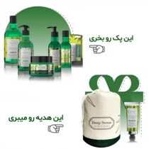 دیپ سنس